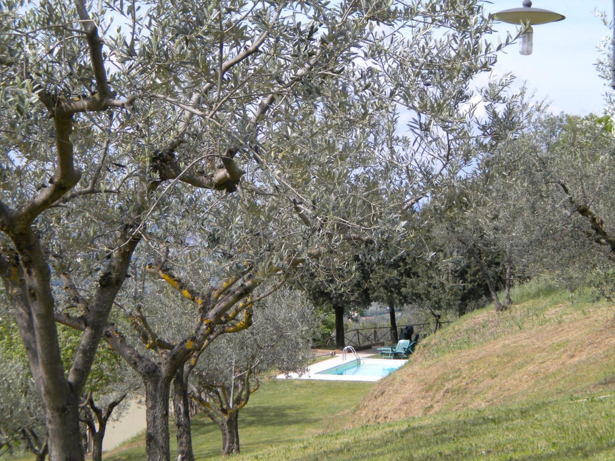 Hostal Il Poggio Delle Ginestre Torgiano Exterior foto